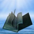 ضرورة الوحي وكتاب العصر  ورأي القرآن